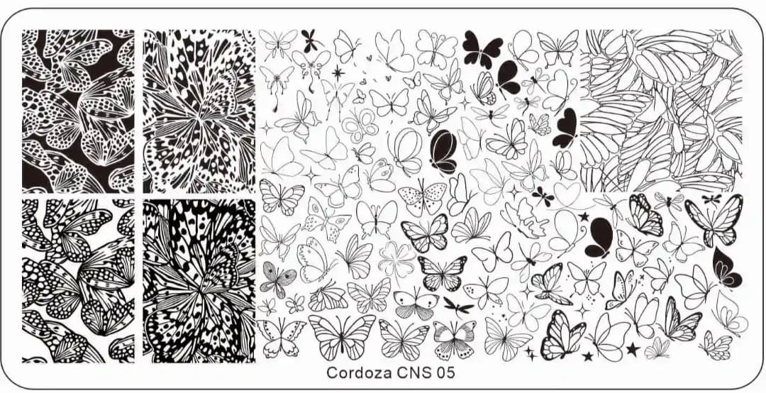 05 CNS Stamping Plate