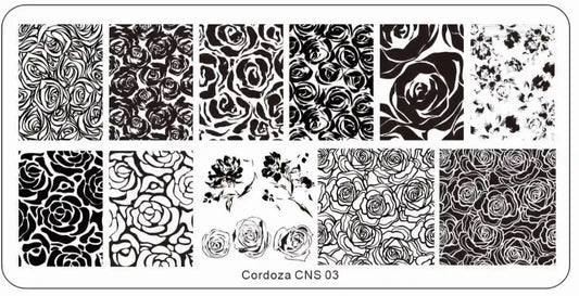 03 CNS Stamping Plate