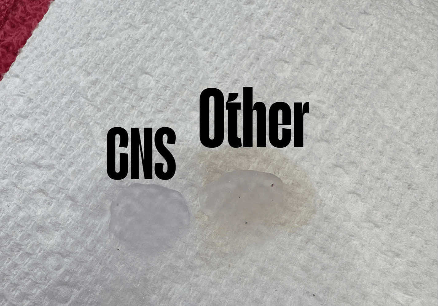 CNS Ultra Clear Acrylic Powder