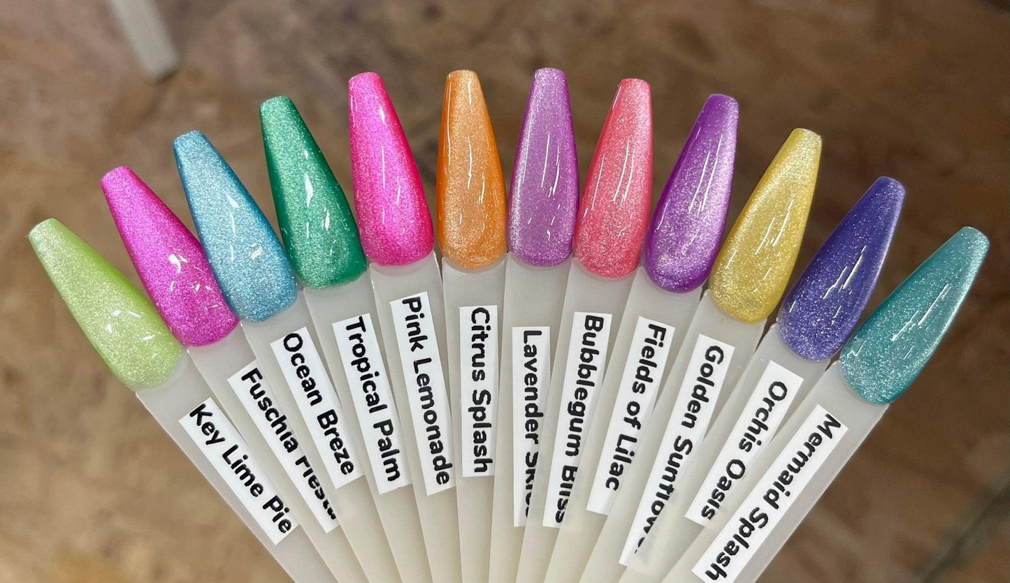 Neon Cateye 12pc Collection